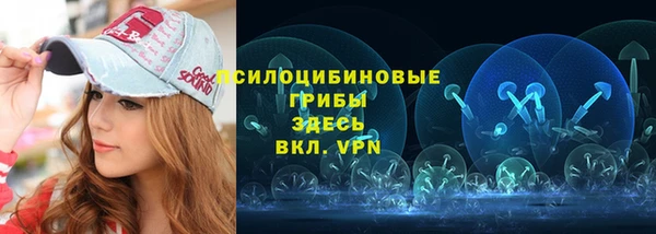 гидропоника Горнозаводск
