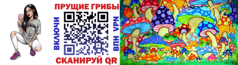 площадка как зайти Череповец Псилоцибиновые грибы ЛСД блэк спрут ССЫЛКА