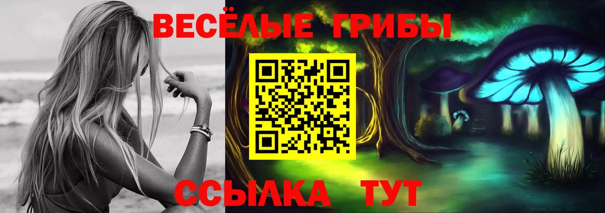 Псилоцибиновые грибы MAGIC MUSHROOMS  Галлюциногенные грибы Magic Shrooms  Череповец  Вход с VPN 