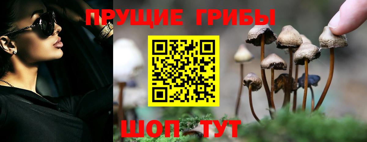 Псилоцибиновые грибы ЛСД Череповец